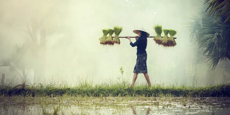 Agriculture & Rural Development