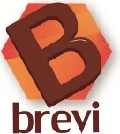 Brevi Interim Management & Advisory Solution logo