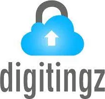 Digitingz logo