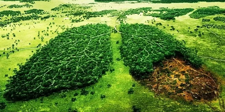 Environment & Natural Resources