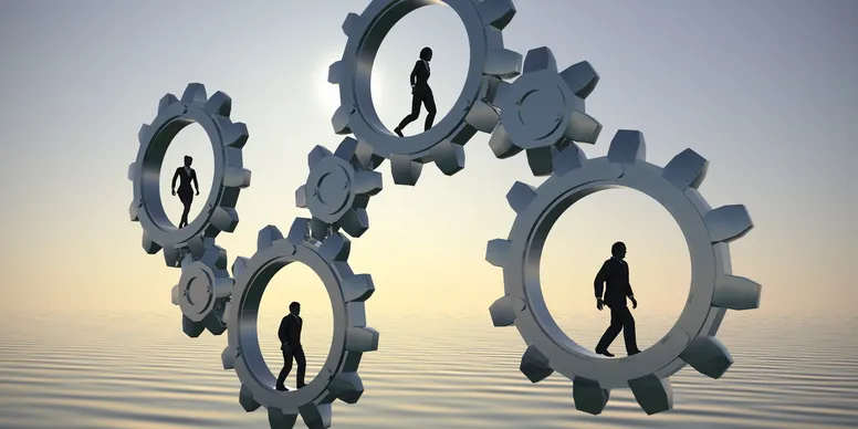 Sales Force Effectiveness Surveys
