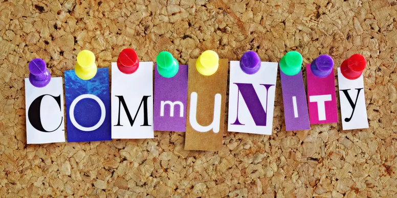 Social Change And Social Structure (Social Audit)